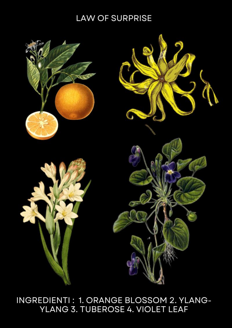 Fragrances by Papadoró India perfume